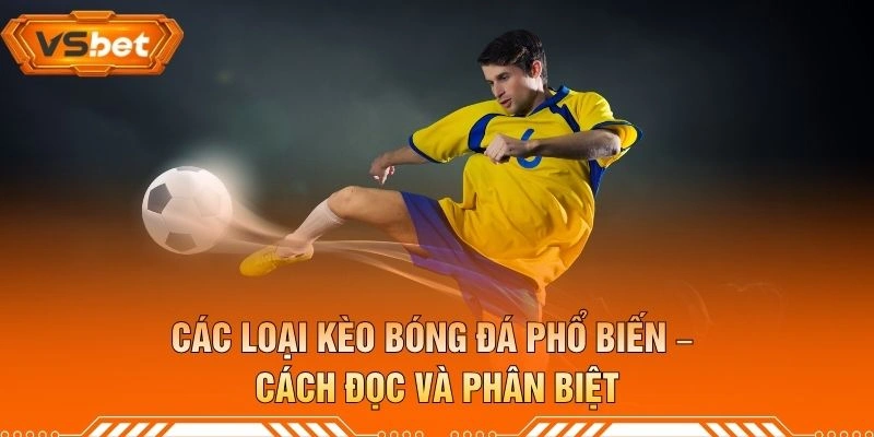 Các Loại Kèo Bóng Đá Phổ Biến – Cách Đọc Và Phân Biệt