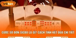 Cược Số Đơn Sicbo Là Gì? Cách Tính Kết Quả Chi Tiết